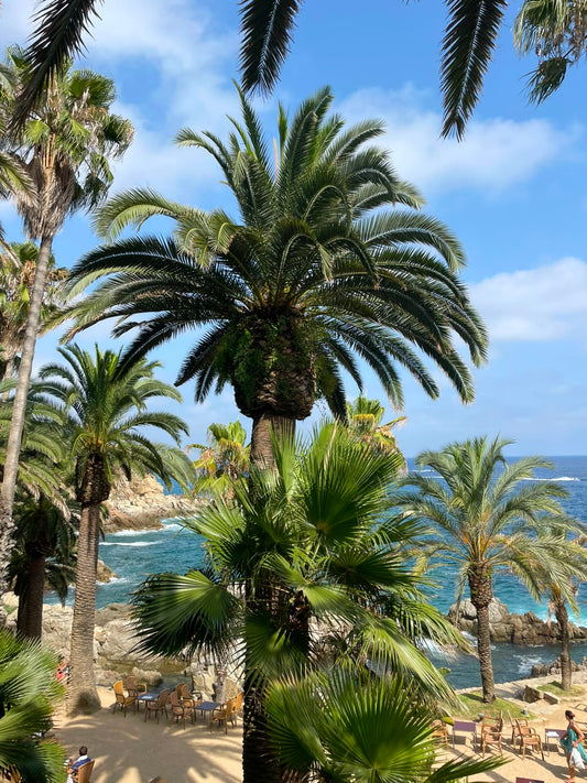 Vakantie sluiting