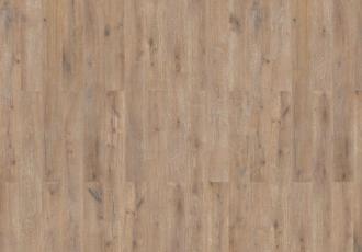 Farnia Oak Savannah