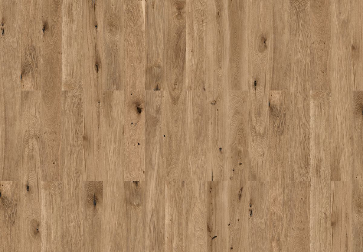 Panama Oak Cognac