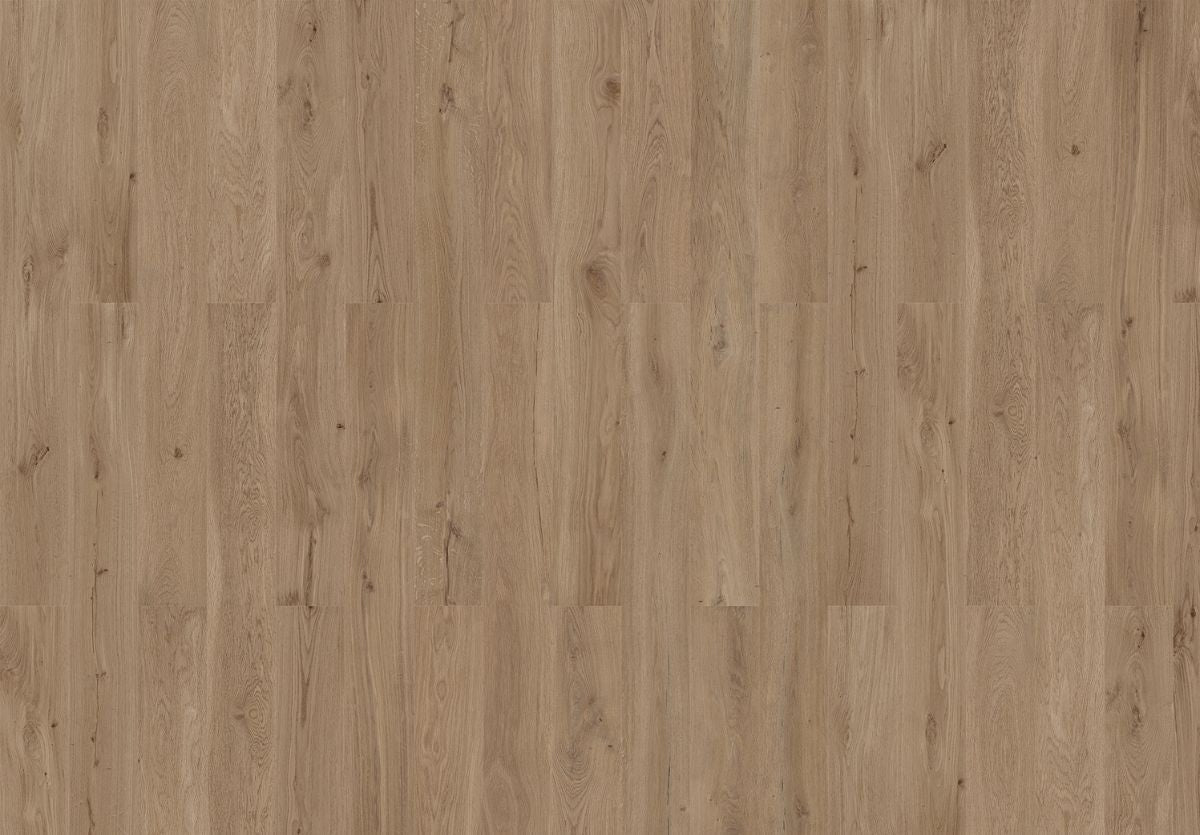 Dakota Oak