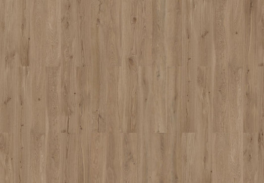 Dakota Oak