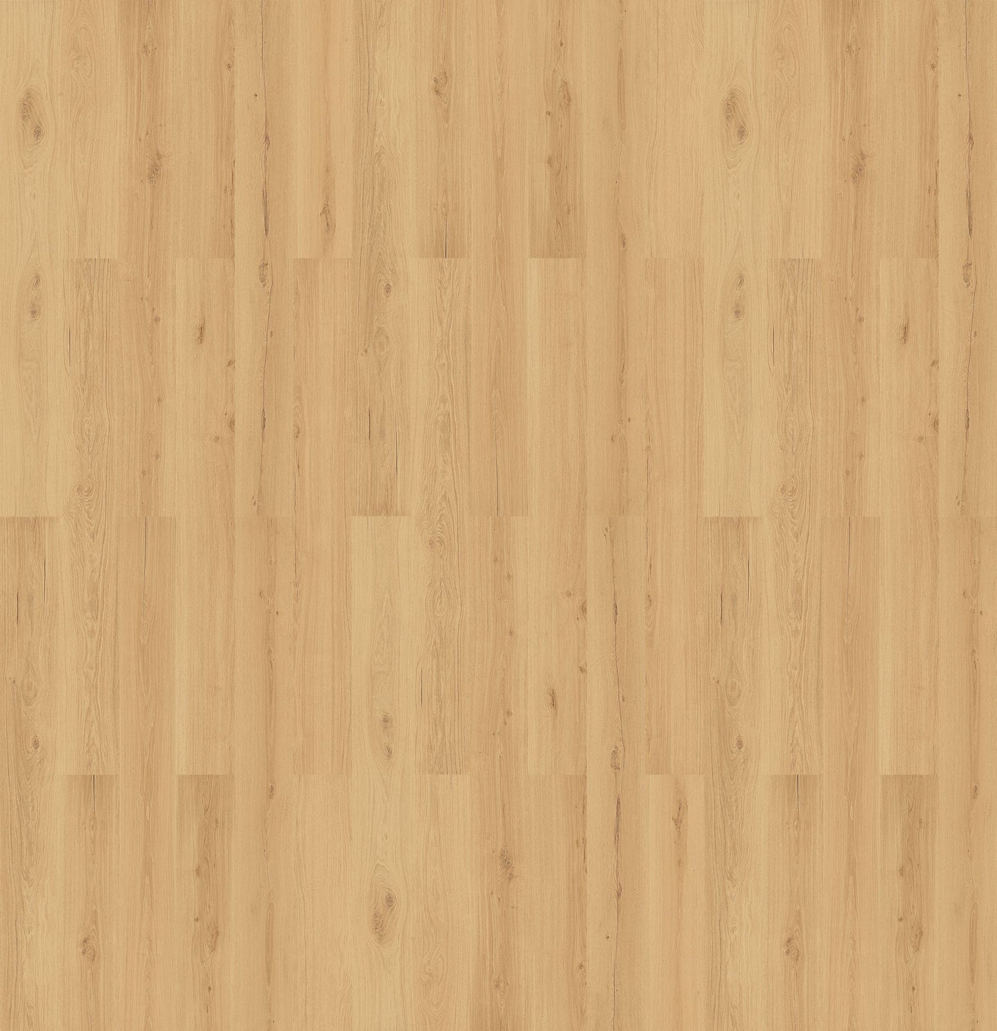 Napa Oak