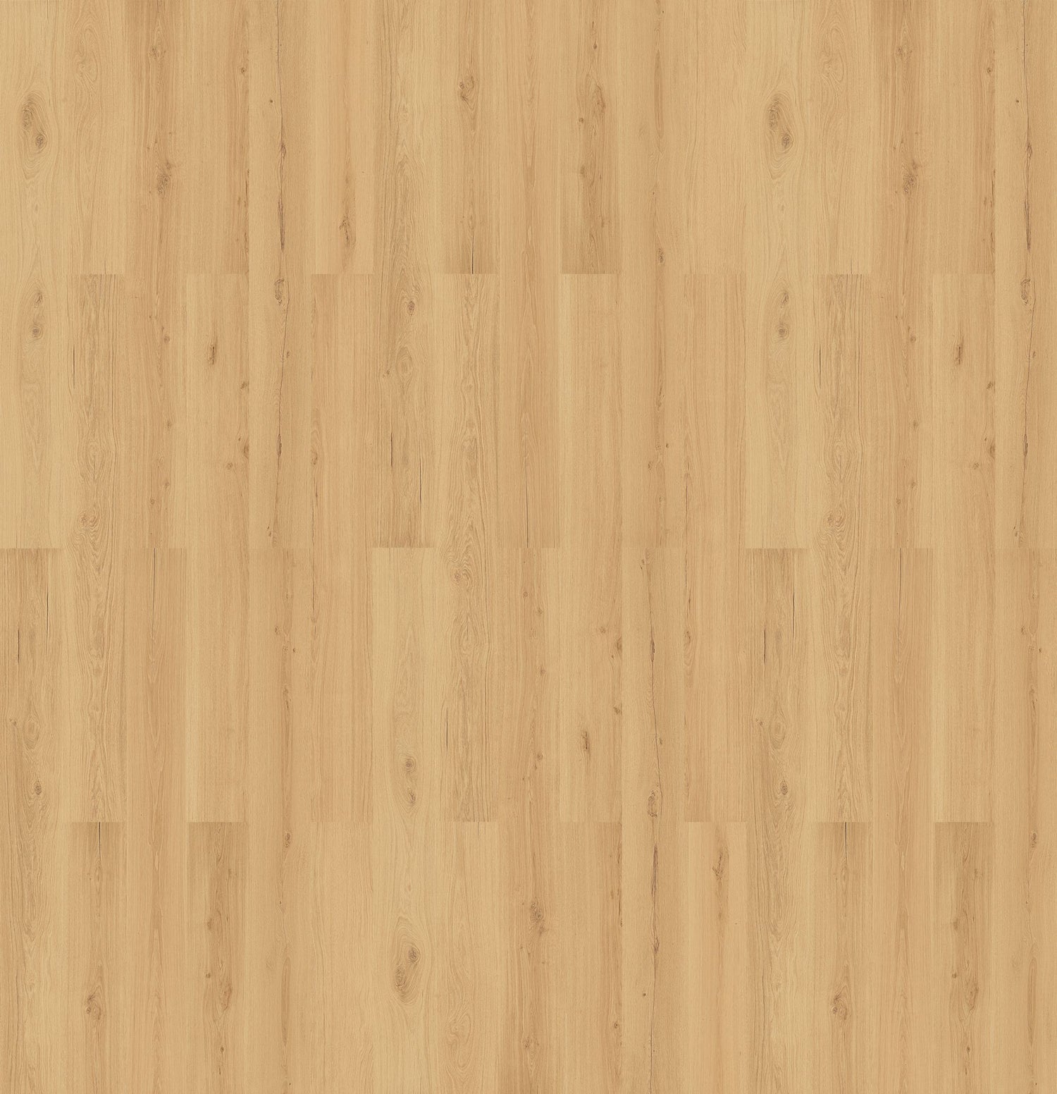 Napa Oak