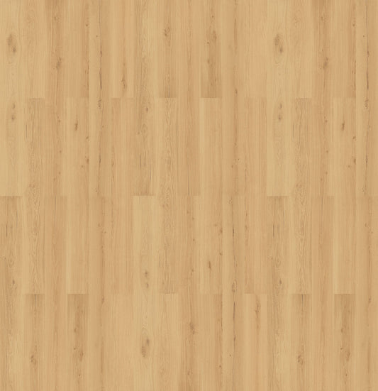 Napa Oak