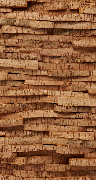 Wandkurk Shale